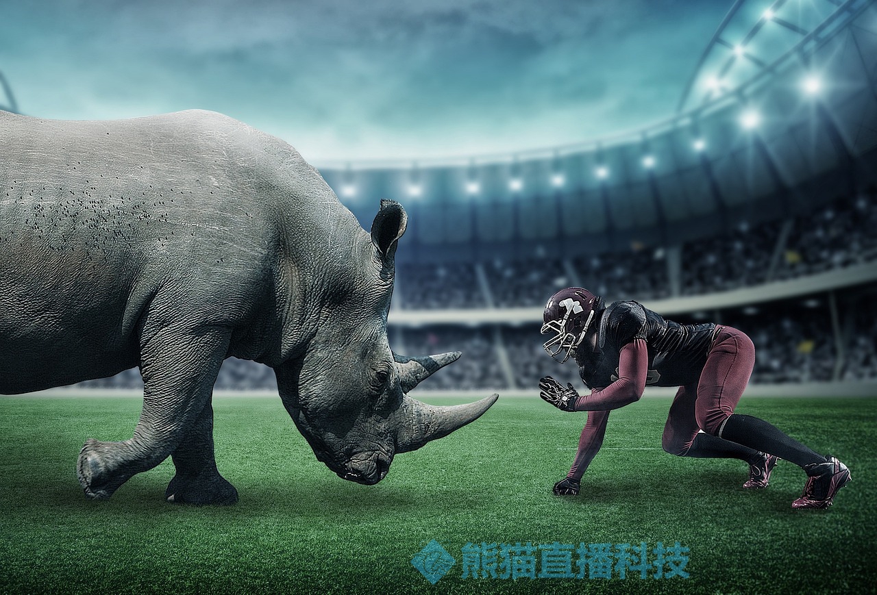 熊猫直播平台年度赛事直播 - 年直播超万场的高清体育盛宴